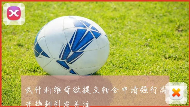 武什科维奇欲提交转会申请强行离开热刺引发关注