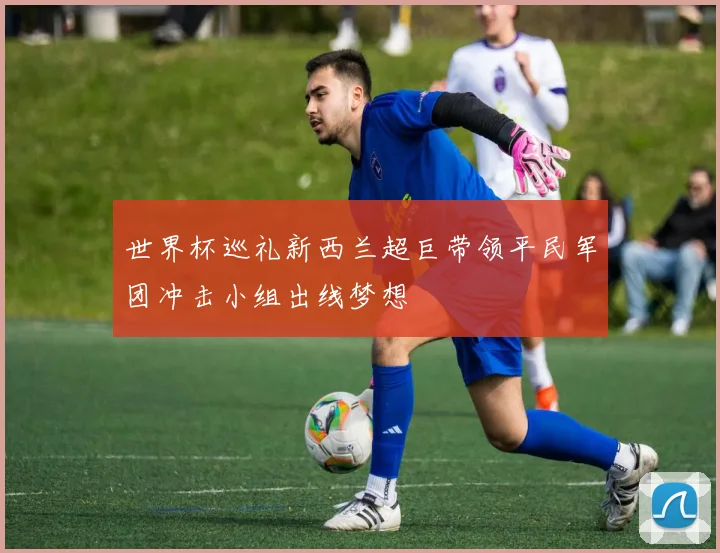 世界杯巡礼新西兰超巨带领平民军团冲击小组出线梦想